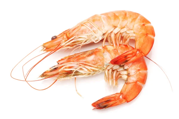 Shrimps — Stock Photo, Image