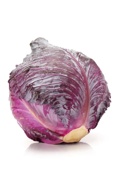 Frischer Rotkohl auf weißem Hintergrund — Stockfoto