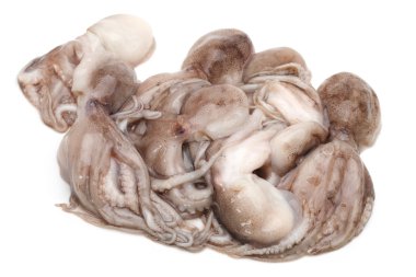 beyaz zemin üzerine ahtapot