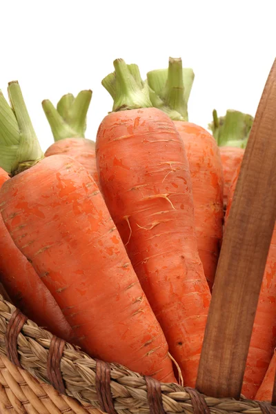 Fresh carrot on a white background — Stock Photo, Image