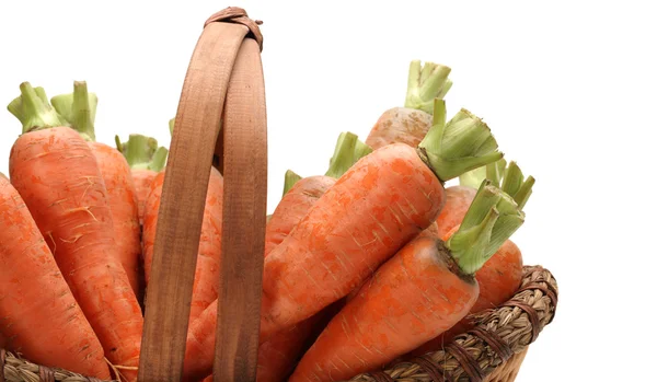 Carota fresca su fondo bianco — Foto Stock