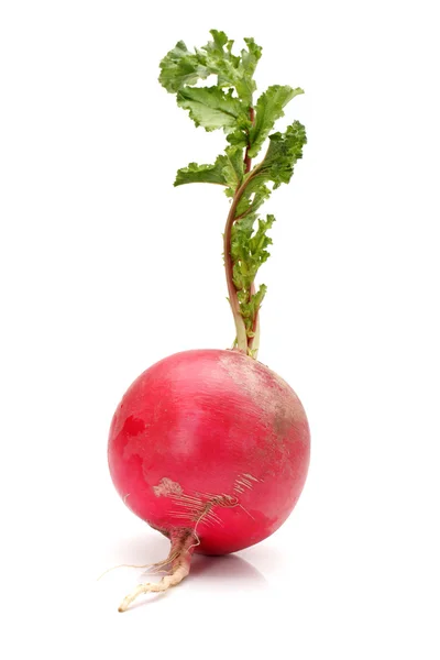 Fresh red radish with green leaf on white background — Stok fotoğraf