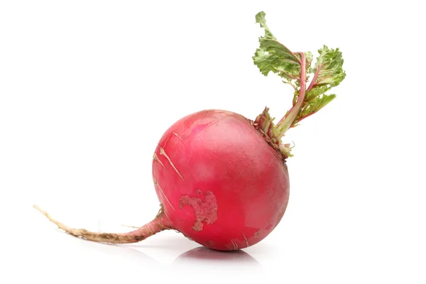 Fresh red radish with green leaf on white background — Stok fotoğraf