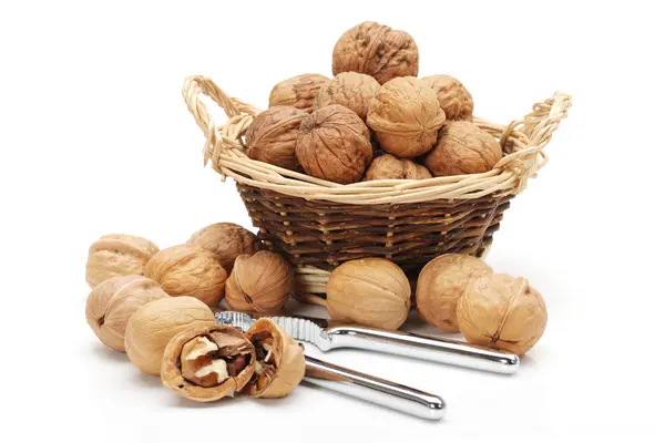 Walnut on white background — Stock Photo, Image