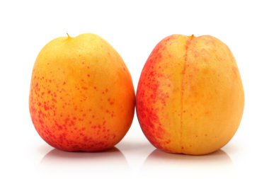 Olgun tatlı kayısı üstüne beyaz izole