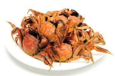 Beyaz arka planda izole pişmiş Yengeç