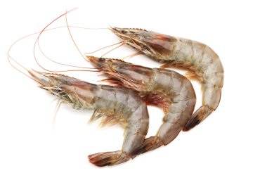 karides