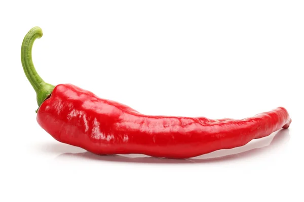 Chili rojo sobre fondo blanco —  Fotos de Stock