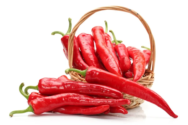 Beyaz arkaplanda Red Hot Chili — Stok fotoğraf