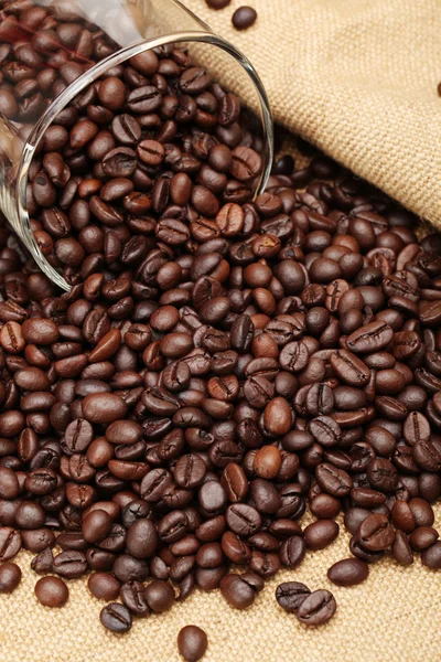 Coffee beans — Stock Photo, Image