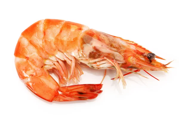 Shrimps — Stock Photo, Image