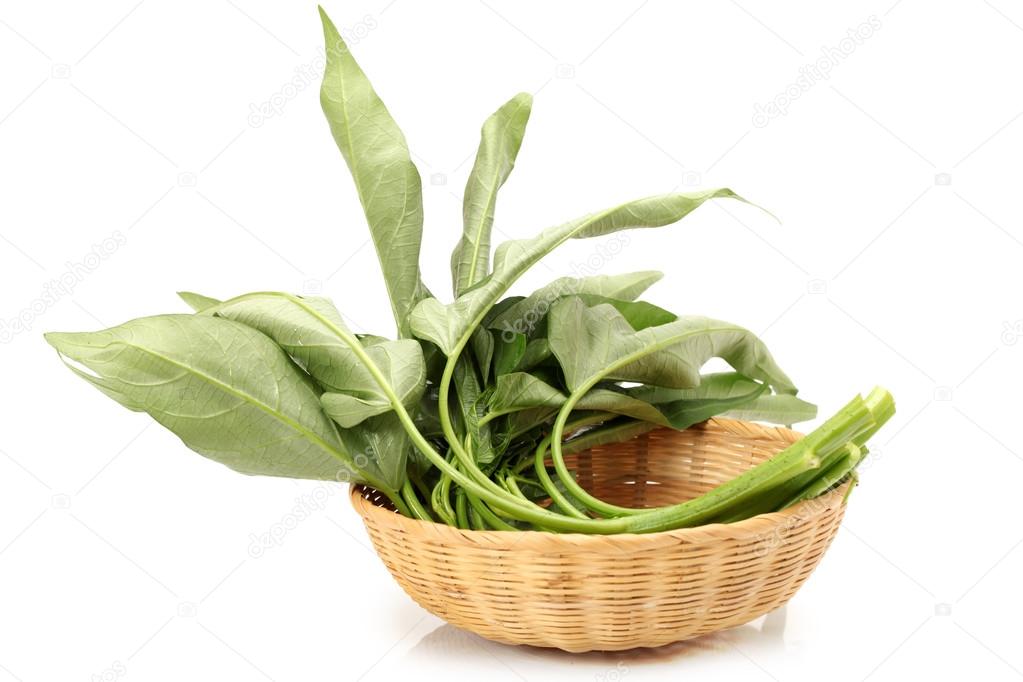 Water spinach isolated on white background