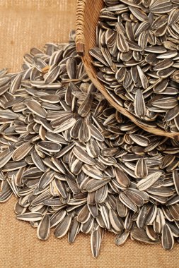 Ayçekirdeği arka planı