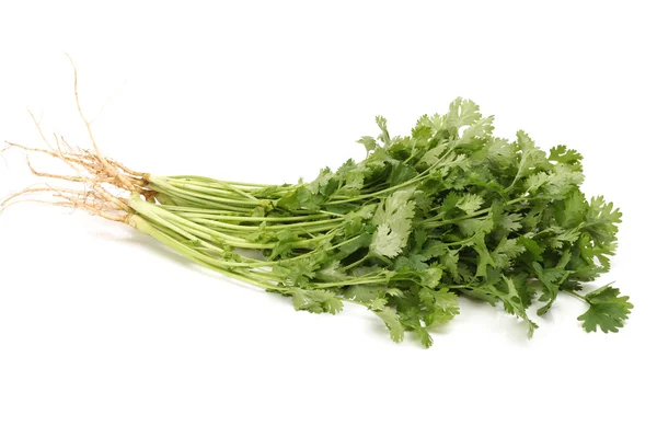 Parsley on White Background — Stock Photo, Image