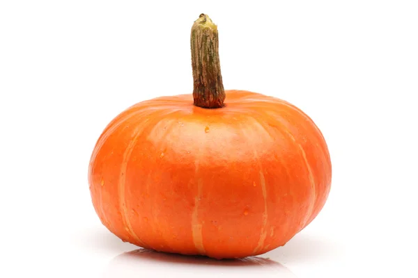 Whole pumpkin isolated on white — Stock Photo, Image