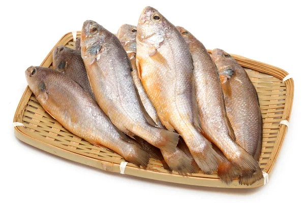 Amarelo Croaker peixes no fundo branco — Fotografia de Stock
