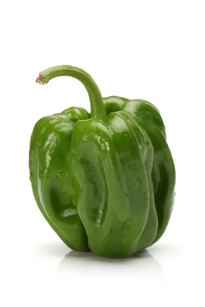 Green pepper on white background — Stock Photo, Image