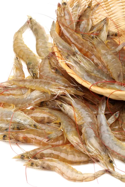 Camarones crudos aislados sobre fondo blanco — Foto de Stock