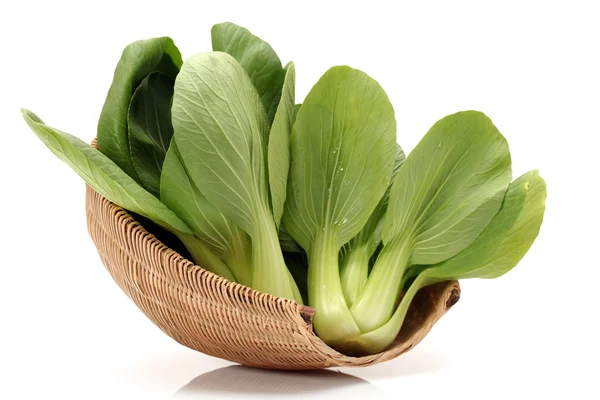 Pok choi på vit bakgrund — Stockfoto