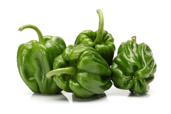 Groene peper op witte achtergrond close-up shoot — Stockfoto