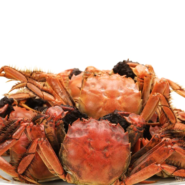 Gedämpfte Krabbe auf weißem Hintergrund — Stockfoto
