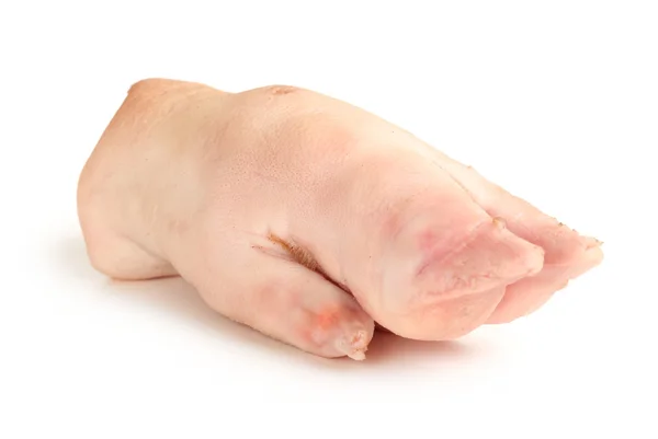 Fresh pig trotter on white background — Stock Photo, Image