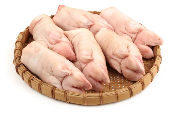 Trote de porco fresco sobre fundo branco — Fotografia de Stock