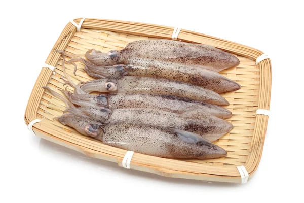 Frisch gefangener Tintenfisch — Stockfoto