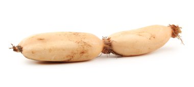 Beyaz arkaplanda nilüfer kökü