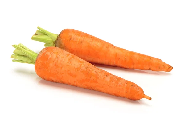 Fresh carrot on a white background — Stock Photo, Image