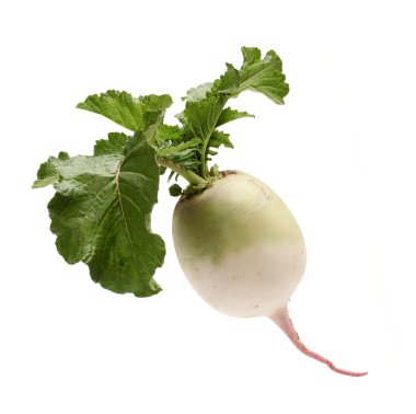 parti sadakat turp