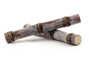 Beyaz arkaplanda izole şeker kamışı