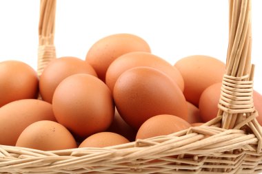 Beyaz Arkaplanda izole edilmiş yumurta koleksiyonu