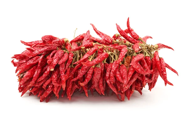 Red Hot Chili su sfondo bianco — Foto Stock