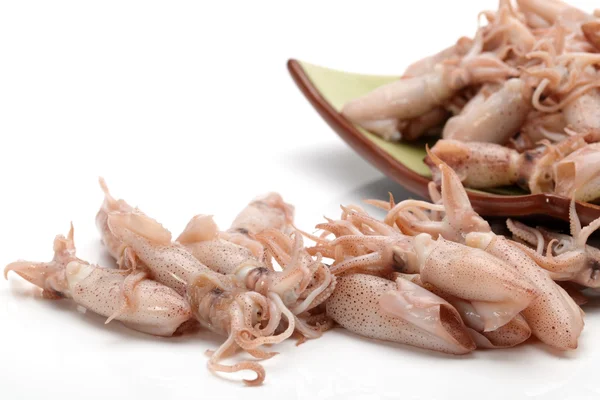 Piccoli calamari appena cotti a vapore su sfondo bianco — Foto Stock