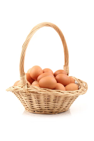 Коллекция яиц изолирована на белом фоне — стоковое фото