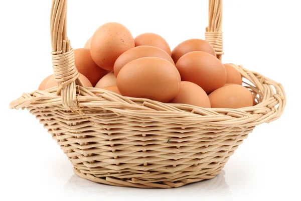 Коллекция яиц изолирована на белом фоне — стоковое фото