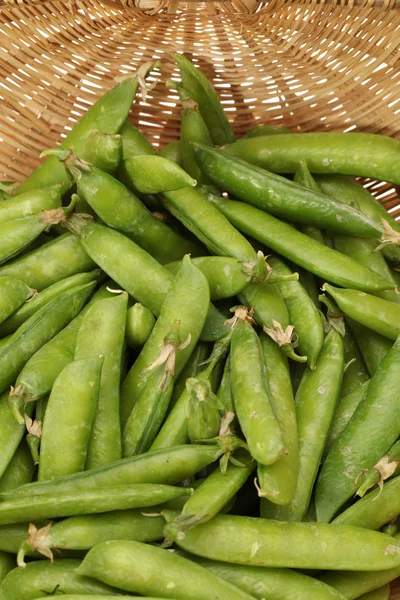 熟したエンドウ豆野菜 — ストック写真