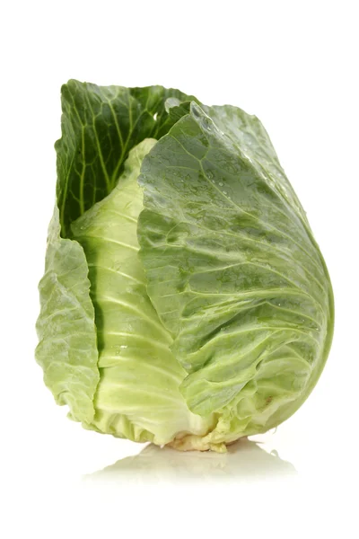 Fresh cabbage isolated on white background — Stock Photo, Image