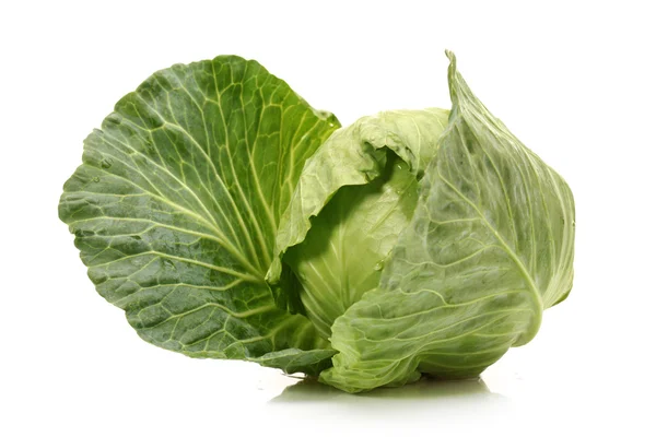 Fresh cabbage isolated on white background — Stock Photo, Image