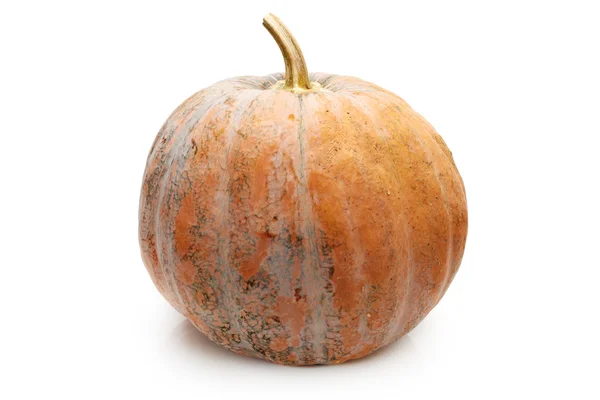 Whole pumpkin isolated on white — Stock Photo, Image