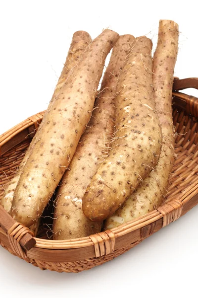 Chinese yam on white background — Stock Photo, Image