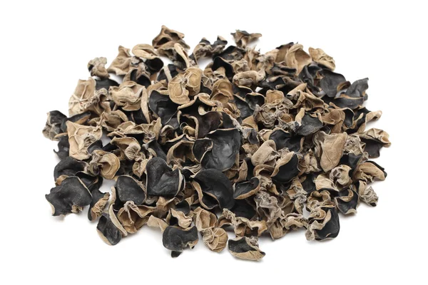 Schwarzer Pilz auf weißem Hintergrund — Stockfoto
