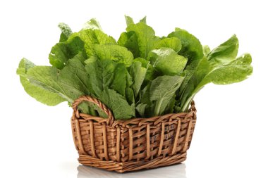 Beyaz arka planda küçük Çin lahanası