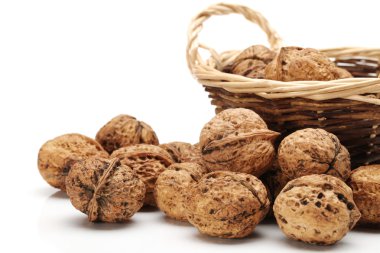 beyaz arkaplanda ceviz