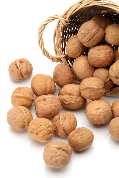 Walnut on white background — Stock Photo, Image