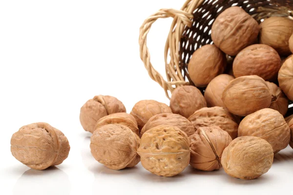 Walnut on white background — Stock Photo, Image