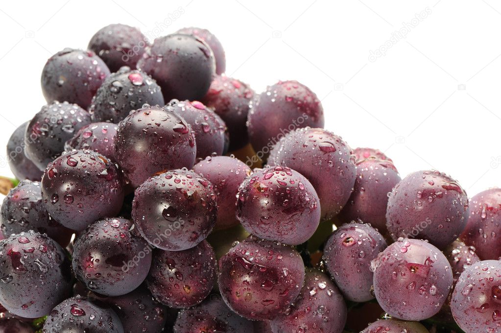 Grapes on white background