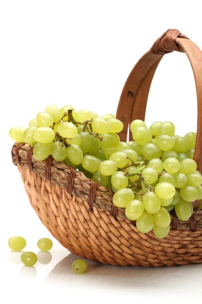 Green grapes on white background — Stock Photo, Image