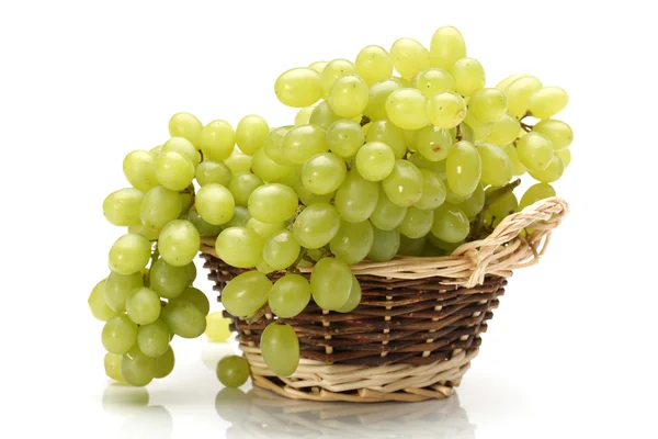 Grüne Trauben auf weißem Hintergrund — Stockfoto